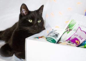 Kai loves his customised Cat Gift Box